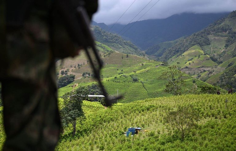 When Colombian guerrillas recruit on TikTok