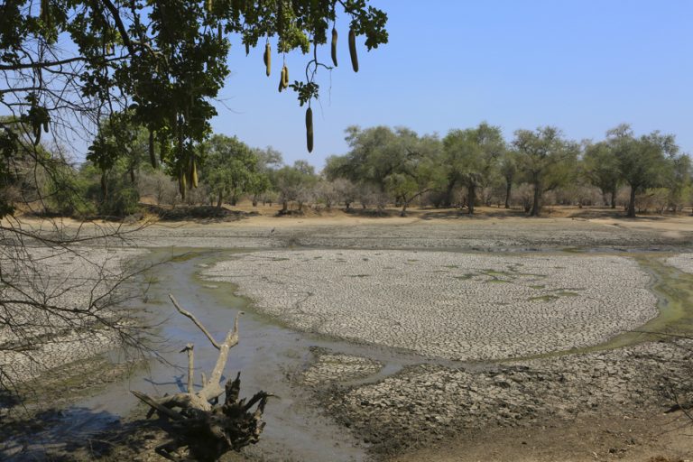 Zambia asks for more than 900 million to deal with drought