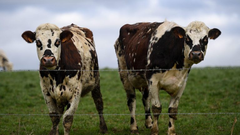 a law to limit conflicts relating to noise or odor from farms in the countryside