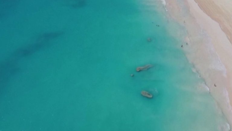 a massive episode of coral bleaching underway around the world