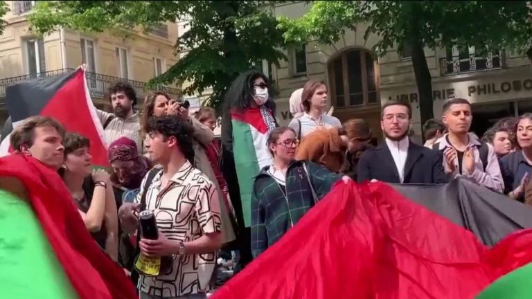 dozens of demonstrators gathered at the Sorbonne