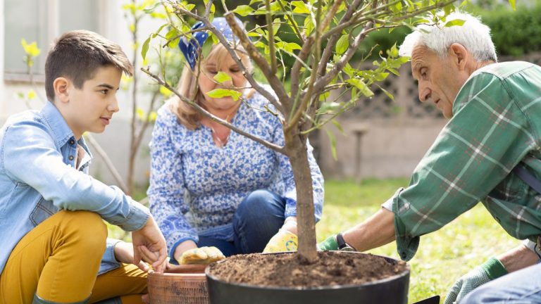 for Jean Viard, “garden cultivation is the first activity of the French, the real France, it is there”