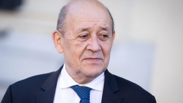 former minister Jean-Yves Le Drian will head a committee supporting the Macronist list