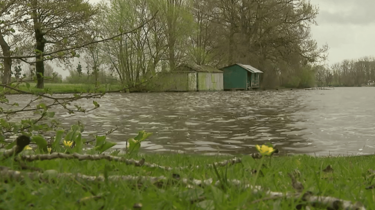 in Ille-et-Vilaine, the Carcraon pond confronted with PFAS