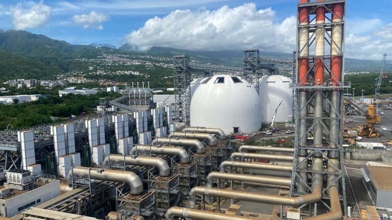 in Reunion, power plants are switching from fossil fuels to plant matter