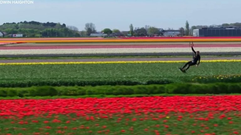 surfing in the tulips, an MMA fight with an alligator, Tom Cruise in Paris… The news of the week