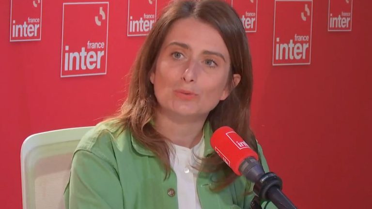 the party “should have launched the external investigation much earlier”, believes Marine Tondelier