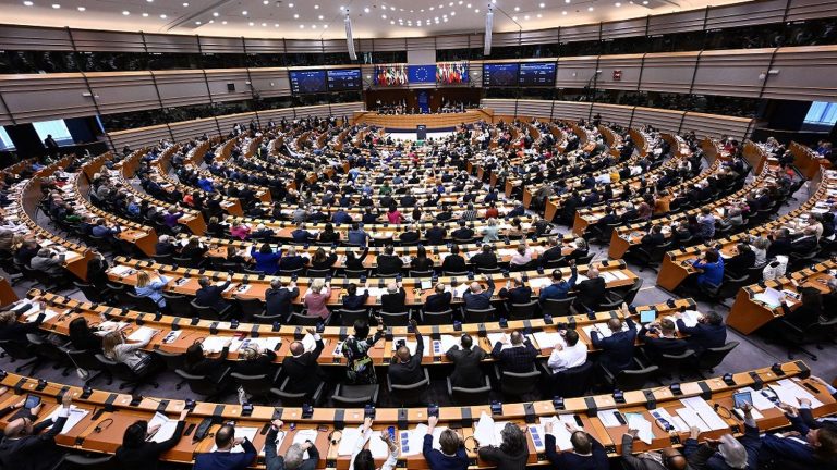 voted in the European Parliament, the reform does not fully satisfy anyone