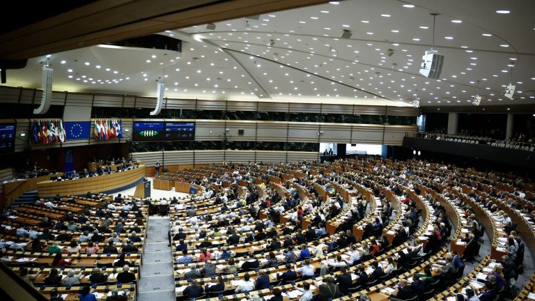 we explain the case which led to the arrest of an assistant to a far-right German MEP