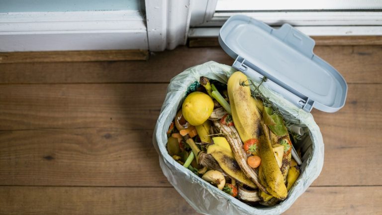 #weansweryou.  How to sort your food waste?  Should we compost?  Ask all your questions