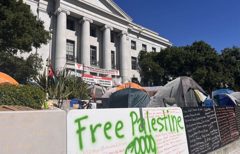 A new generation trained at the school of protest in Berkeley