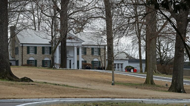 Actress Riley Keough, granddaughter of Elvis Presley, obtains suspension of the sale of Graceland, legendary property of the “King”