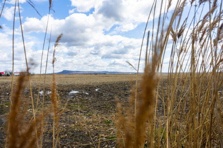 Adaptation to climate change |  The challenge of coherence for Quebec