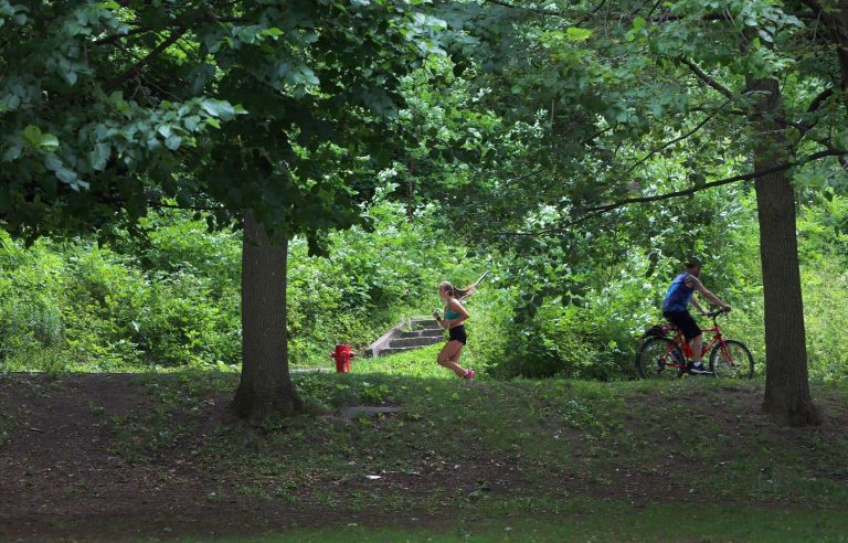 At the Climate Summit, Montreal wants to divest from fossil fuels and plant 230,000 trees in the East