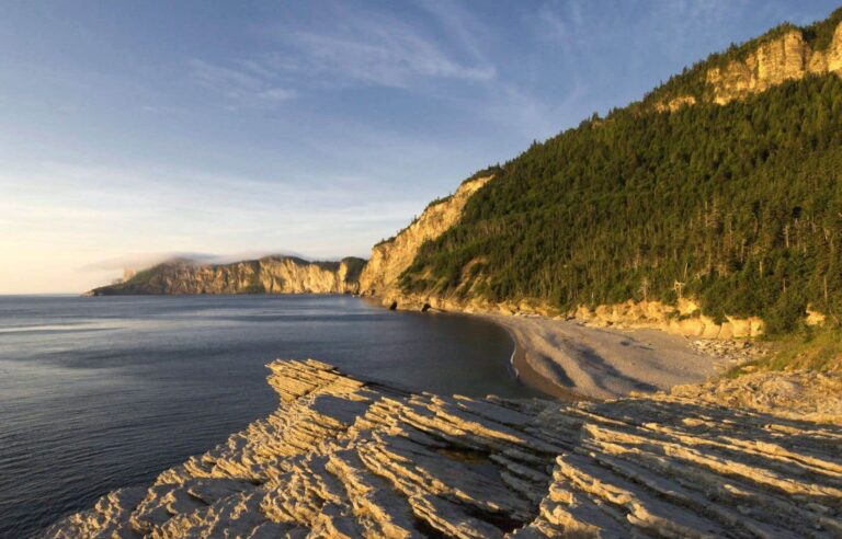 Canadian national parks are ‘changing face’ due to climate change