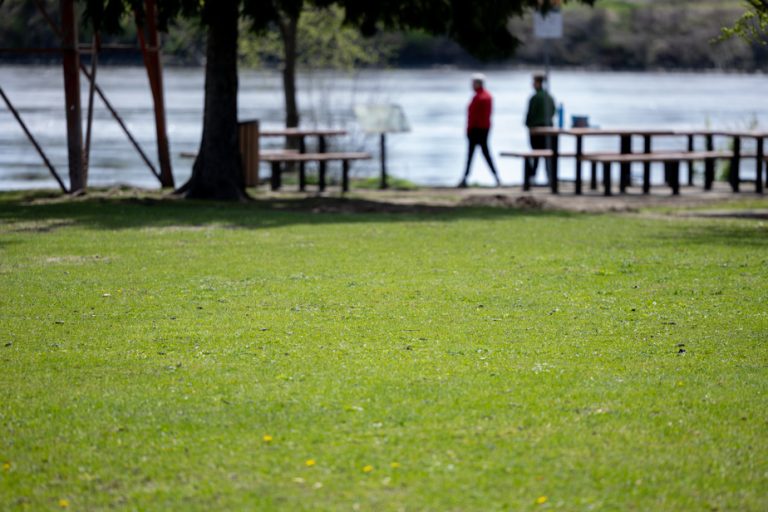 Cities bring out the lawnmowers in the middle of the Dandelion Challenge