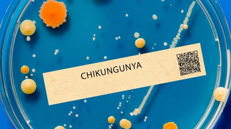 European Medicines Agency validates first vaccine against chikungunya