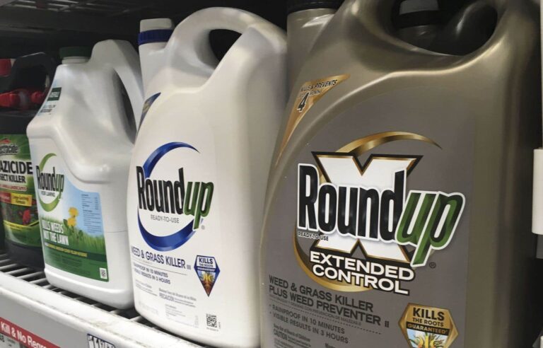 Glyphosate, the active ingredient in herbicides like Roundup, may affect the immune response