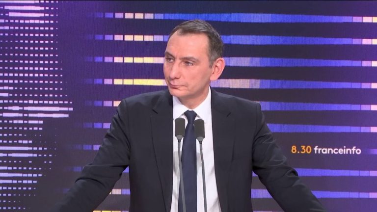 “It’s a referendum for or against the disintegration of France,” says Laurent Jacobelli, spokesperson for the RN