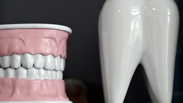 Japanese researchers develop treatment that regrows teeth