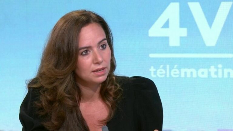 “Jordan Bardella offers a false victory to the French”, believes Sarah Knafo (Reconquête)