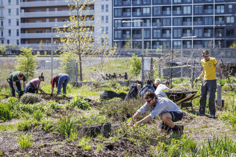 Life, the city |  Bite into an asparagus from Campus MIL