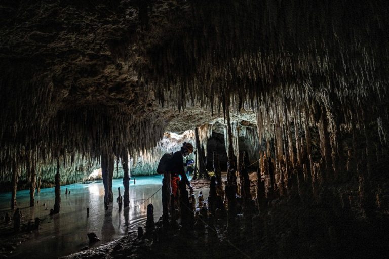 Mexico |  Natural wells threatened by a tourist project, a “nightmare” for environmentalists