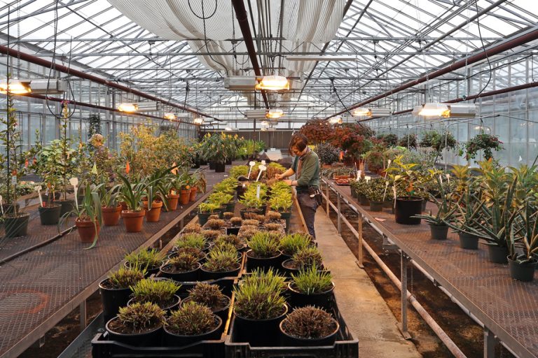 Montreal Botanical Garden |  Greenhouses closed to the public