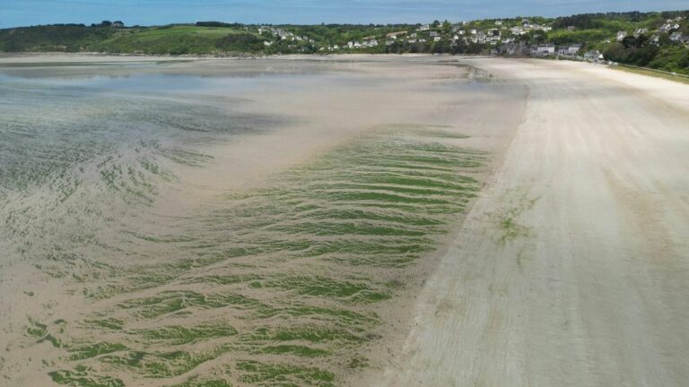 One in five beaches is regularly polluted by bacteria, warns an association