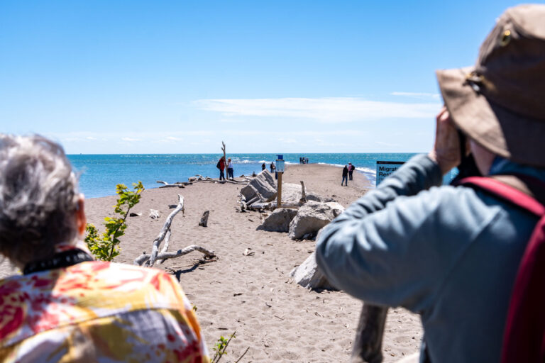 Point Pelee |  An air of the South… in Canada