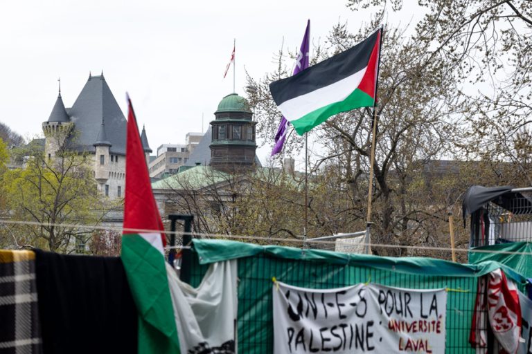 Pro-Palestinian protesters organize for a second week at McGill