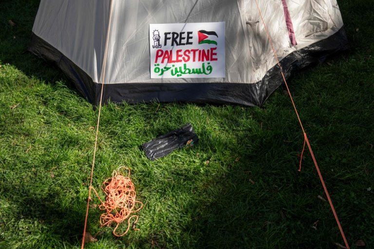 Pro-Palestinian student rallies continue