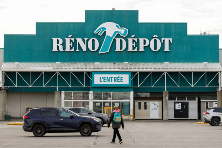 Réno-Dépôt gives way to RONA+