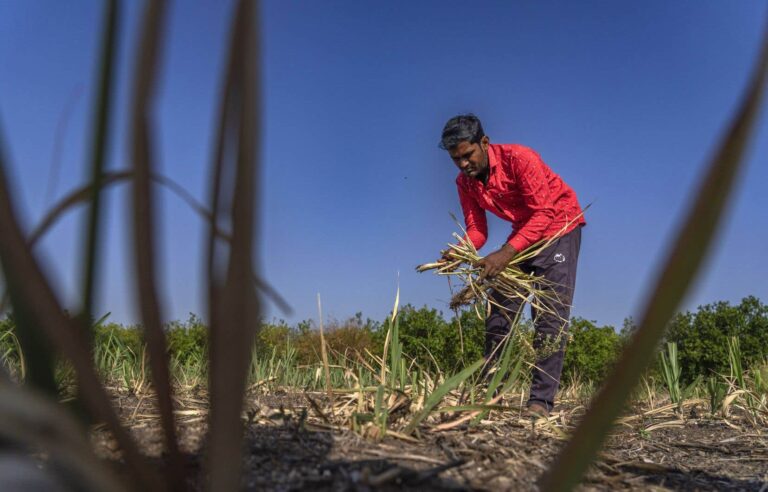 Rich countries meet $100 billion annual climate aid target for poor countries, OECD says