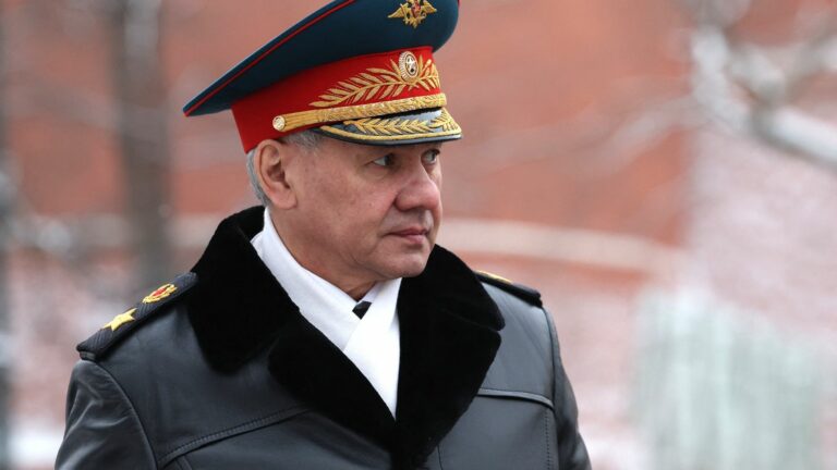 Russian Defense Minister Sergei Shoigu dismissed by Vladimir Putin