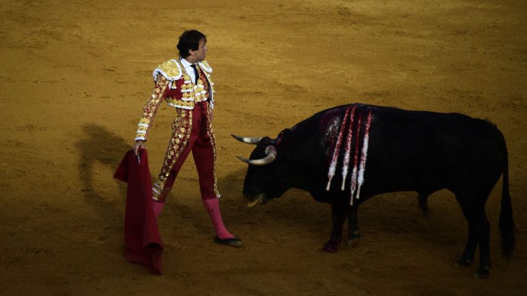 Spain scraps national bullfighting prize to combat ‘animal abuse’