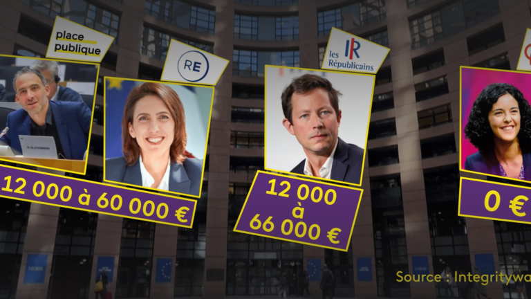 TRUE OR FALSE.  Do French MEPs receive additional income paid by lobbies?