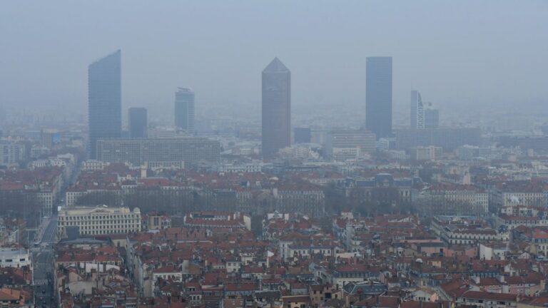 The objectives for reducing greenhouse gas emissions “are very distant” and “tend to delay the transition”, believes François Gemenne