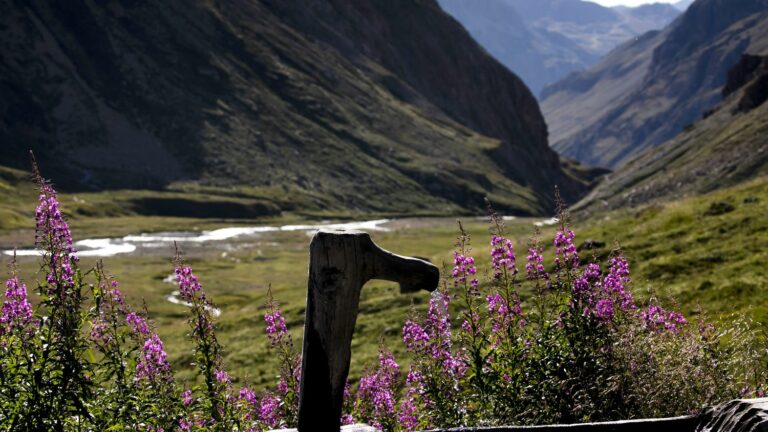 “The water tables are doing well” in Savoie and Haute-Savoie, assures a hydrogeologist from the BRGM of Lyon