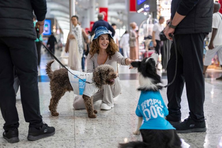 Türkiye |  Dogs to relax passengers at Istanbul airport