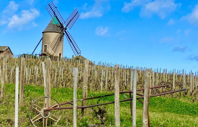 Visit Beaujolais, kingdom of Gamay