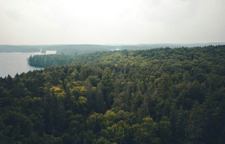 When Quebec’s avant-gardism in biomass forces Ontario companies to become French