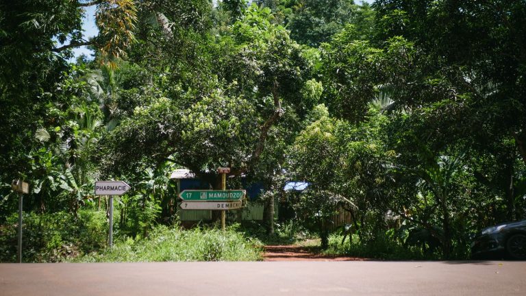 a 3-year-old child dies of cholera, first death since the appearance of cases in March in the territory