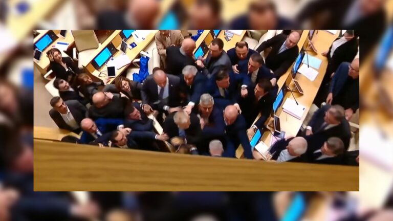 a fight breaks out between deputies during the examination of the controversial law on “foreign influence”