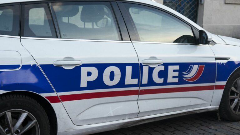 a luxury jewelry store robbed near the Champs-Elysées