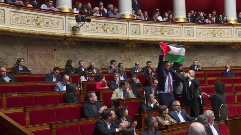 an LFI deputy brandishes a Palestinian flag in the National Assembly