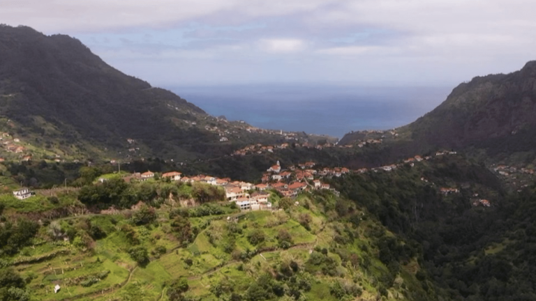 discovering the island and its lush vegetation