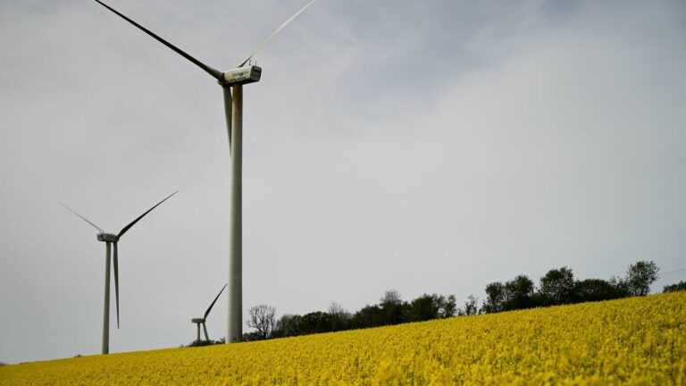 franceinfo junior.  How do offshore wind turbines work?