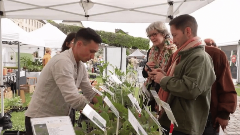 meeting with a nurseryman who offers vegetables adapted to climate change