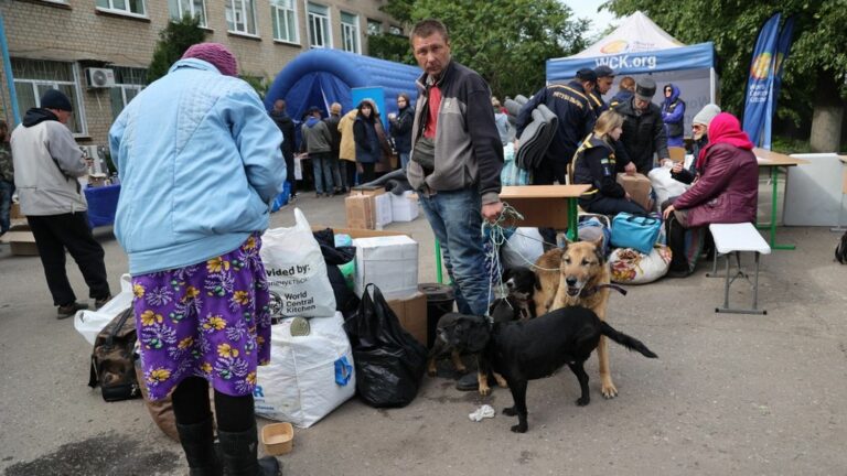 more than 14,000 people displaced in Kharkiv region ‘in just a few days’, WHO says